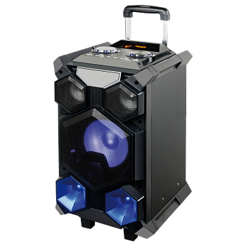 Портативная акустика National NSM-V450