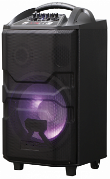 Портативная акустика National NSM-V550
